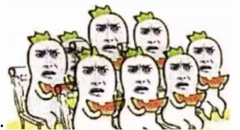 喵星娱乐吃瓜群众,吃瓜群众揭秘娱乐圈幕后真相